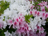20150430_150349