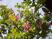 DSCN8770