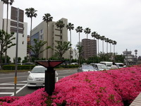20160524_115639