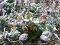20141215_090120