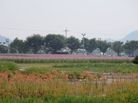 IMG_0417