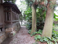 DSCN9541