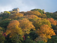 DSCN0897