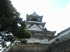 RIMG0070