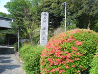 RIMG0019