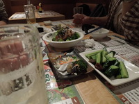 DSCN0600