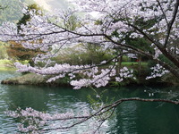 DSCF1381