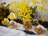 DSCN0412
