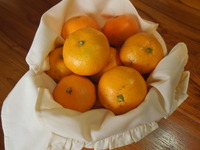 DSCN0151
