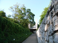 RIMG0259