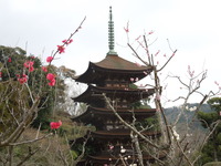 DSCN5925