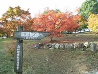 RIMG1392