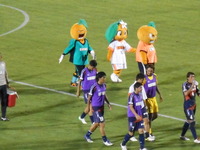 DSCN1537