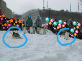 BlogPaint