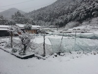 20170123_084109