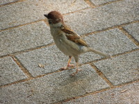 DSCN0667