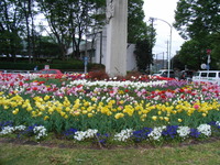 RIMG0869