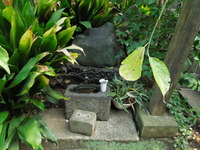 DSCN9813