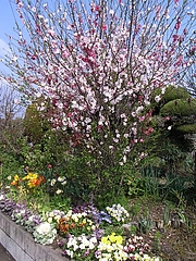 RIMG0924