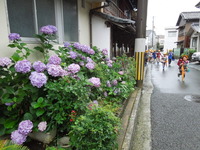 DSCN9457