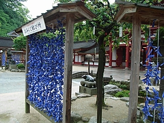RIMG0109