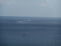DSCN5444