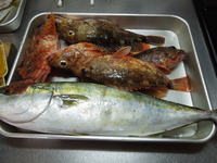 DSCN0088
