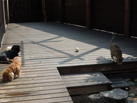 DSCN4176