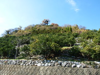 DSCF3320