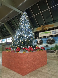 DSCN0883