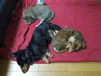 DSCN2319