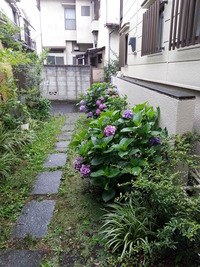 20160621_084908