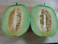 RIMG0146