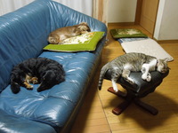 DSCN0190
