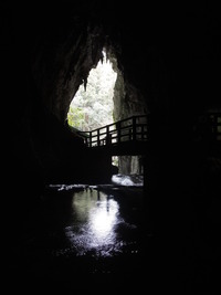 DSCN5756