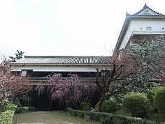 RIMG0075