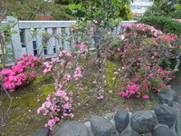 DSCN8239