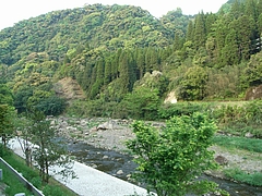 RIMG0059