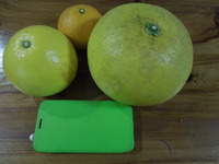 DSCN9985