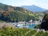 DSCF3306