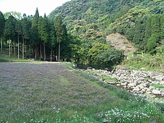 RIMG0051