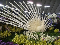 RIMG0313