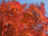 DSCN0759
