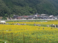 20140719_103532