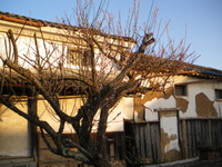 IMGP2267
