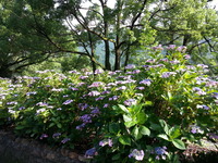 20160626_075105