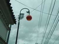 RIMG0610