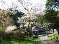 DSCF1281