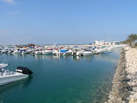 RIMG0970