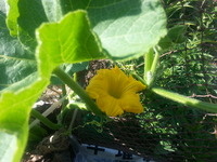 20150530_075113